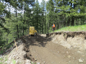 16. web 20140530_1412_Bulldozer-pushingDirt_Tom_G_NE_1772