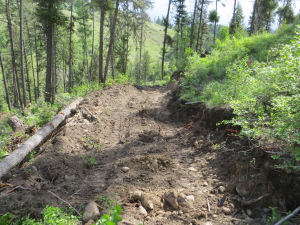 2.web 20140528_1023_roughIn-driveway_Y_E_1762