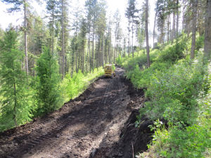 6.web_Bulldozer-gradingDriveway_B-Y_E_1767