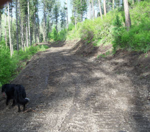 9.web driveway