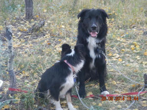 Riley and little Monjeau