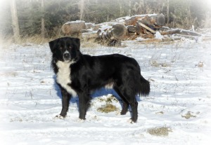 web. Fahey full body 2014_frost