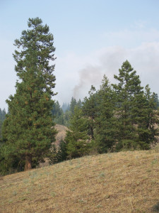 web 100_5835 - smoke plume