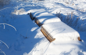 100_6006 coldframes - crop. web