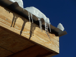 icicles.web
